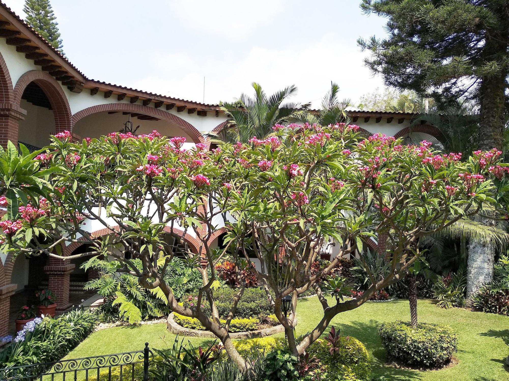 Hotel Vista Hermosa Cuernavaca Eksteriør billede